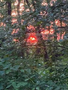 ferienhof ohlenbusch worpswede grundstueck sonnenuntergaenge 021