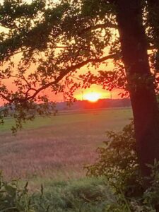 ferienhof ohlenbusch worpswede grundstueck sonnenuntergaenge 022