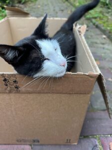 ferienhof ohlenbusch worpswede grundstueck tiere 019