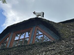 ferienhof ohlenbusch worpswede grundstueck tiere 021