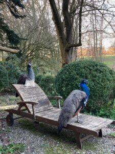 ferienhof ohlenbusch worpswede grundstueck tiere 030