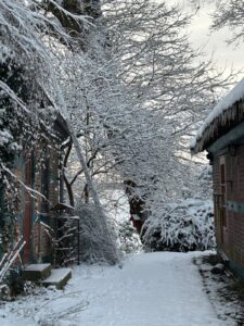 ferienhof ohlenbusch worpswede grundstueck winter 001