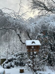 ferienhof ohlenbusch worpswede grundstueck winter 002