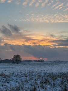 ferienhof ohlenbusch worpswede grundstueck winter 003
