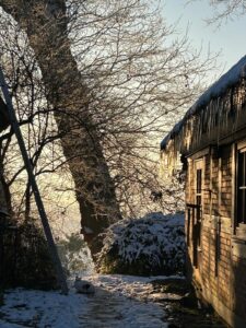 ferienhof ohlenbusch worpswede grundstueck winter 006