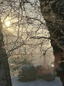 ferienhof ohlenbusch worpswede grundstueck winter 007
