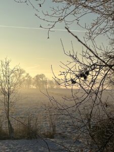 ferienhof ohlenbusch worpswede grundstueck winter 008