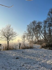 ferienhof ohlenbusch worpswede grundstueck winter 010