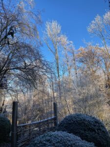 ferienhof ohlenbusch worpswede grundstueck winter 014