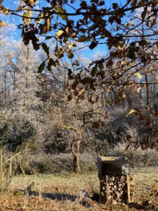 ferienhof ohlenbusch worpswede grundstueck winter 015