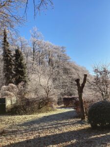 ferienhof ohlenbusch worpswede grundstueck winter 017