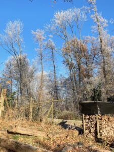ferienhof ohlenbusch worpswede grundstueck winter 019