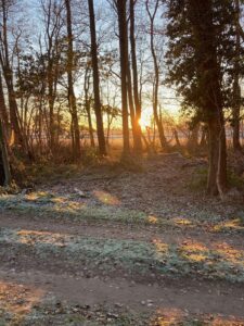 ferienhof ohlenbusch worpswede grundstueck winter 022