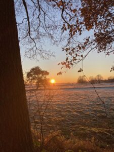ferienhof ohlenbusch worpswede grundstueck winter 025