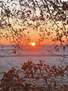 ferienhof ohlenbusch worpswede grundstueck winter 028