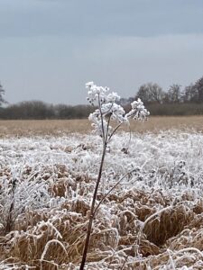 ferienhof ohlenbusch worpswede grundstueck winter 029