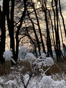 ferienhof ohlenbusch worpswede grundstueck winter 030