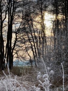 ferienhof ohlenbusch worpswede grundstueck winter 031