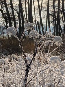 ferienhof ohlenbusch worpswede grundstueck winter 032
