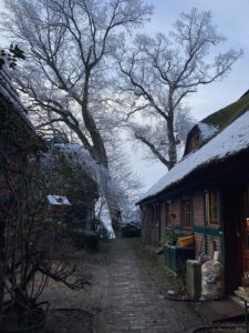 ferienhof ohlenbusch worpswede grundstueck winter 033