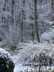 ferienhof ohlenbusch worpswede grundstueck winter 035
