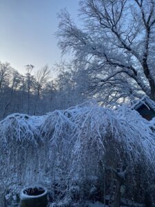 ferienhof ohlenbusch worpswede grundstueck winter 036