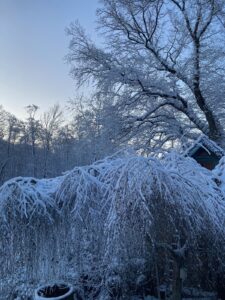 ferienhof ohlenbusch worpswede grundstueck winter 037