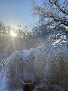 ferienhof ohlenbusch worpswede grundstueck winter 038