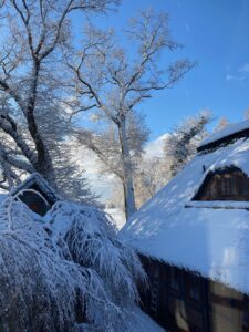 ferienhof ohlenbusch worpswede grundstueck winter 039