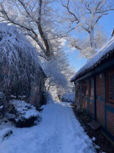 ferienhof ohlenbusch worpswede grundstueck winter 041