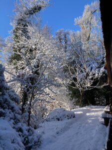 ferienhof ohlenbusch worpswede grundstueck winter 042