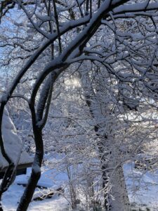 ferienhof ohlenbusch worpswede grundstueck winter 043