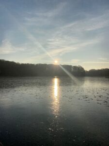 ferienhof ohlenbusch worpswede landschaft 003