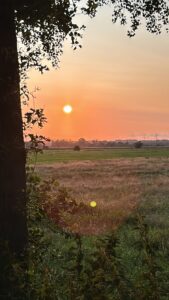 ferienhof ohlenbusch worpswede landschaft 005