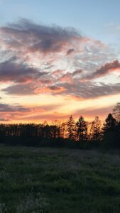 ferienhof ohlenbusch worpswede landschaft 006