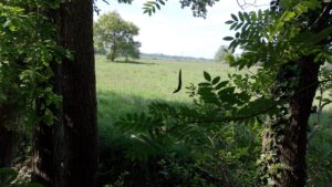 ferienhof ohlenbusch worpswede landschaft 008