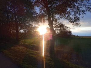 ferienhof ohlenbusch worpswede landschaft 009