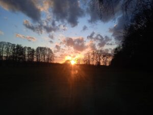 ferienhof ohlenbusch worpswede landschaft 011
