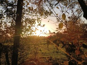 ferienhof ohlenbusch worpswede landschaft 012