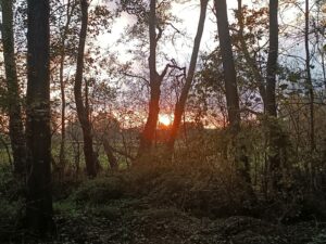 ferienhof ohlenbusch worpswede landschaft 013