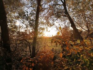 ferienhof ohlenbusch worpswede landschaft 014