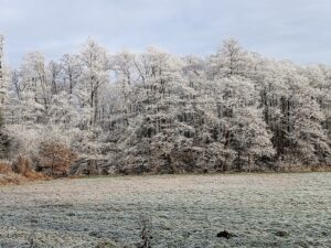 ferienhof ohlenbusch worpswede landschaft 016