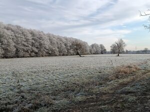ferienhof ohlenbusch worpswede landschaft 018