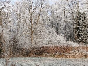 ferienhof ohlenbusch worpswede landschaft 020