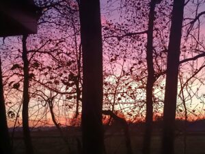 ferienhof ohlenbusch worpswede landschaft 022