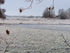 ferienhof ohlenbusch worpswede landschaft 023