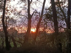 ferienhof ohlenbusch worpswede landschaft 024
