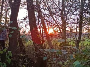 ferienhof ohlenbusch worpswede landschaft 026