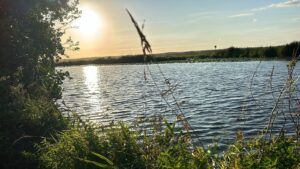 ferienhof ohlenbusch worpswede landschaft 027
