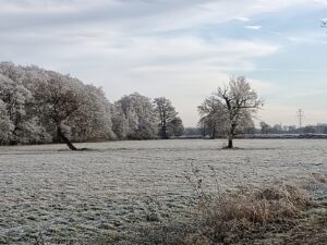 ferienhof ohlenbusch worpswede landschaft 029
